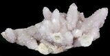 Cactus Quartz (Amethyst) Crystal - Large Cluster #44790-1